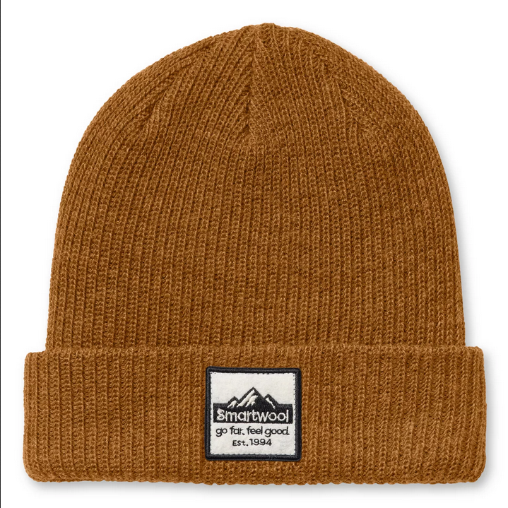 Smartwool Patch Beanie