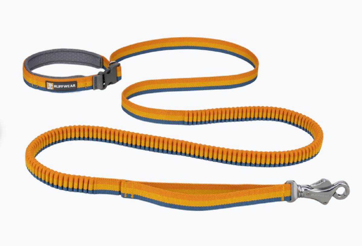 Roamer Leash
