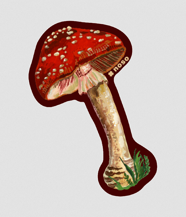 Red/White Mushroom Patch