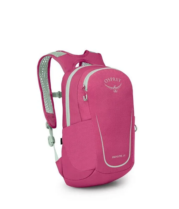 Daylite Jr. Pack in Hotspot Pink Frosty Mint