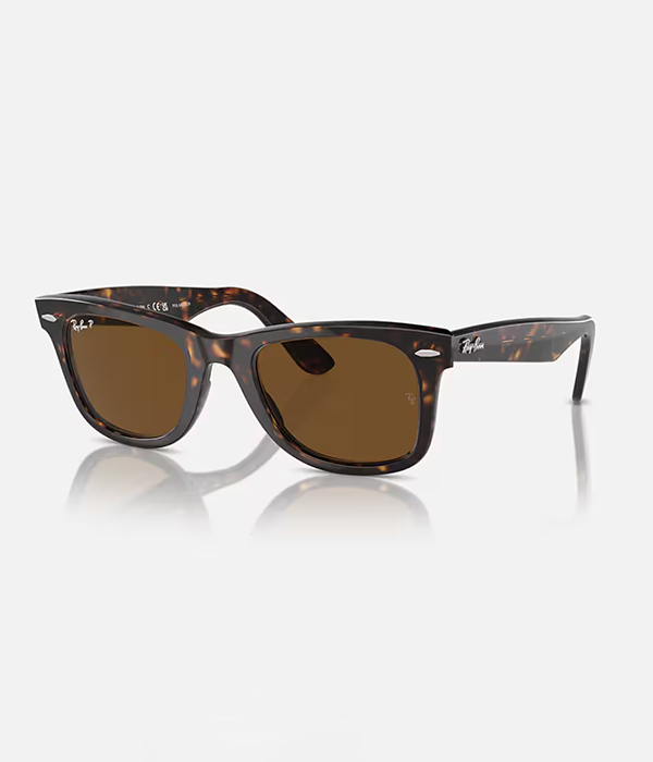 Original Wayfarer Polarized