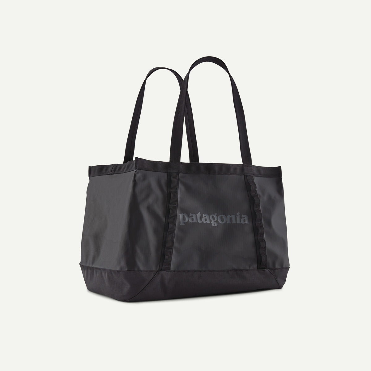 Patagonia Black Hole Tote 25L F26