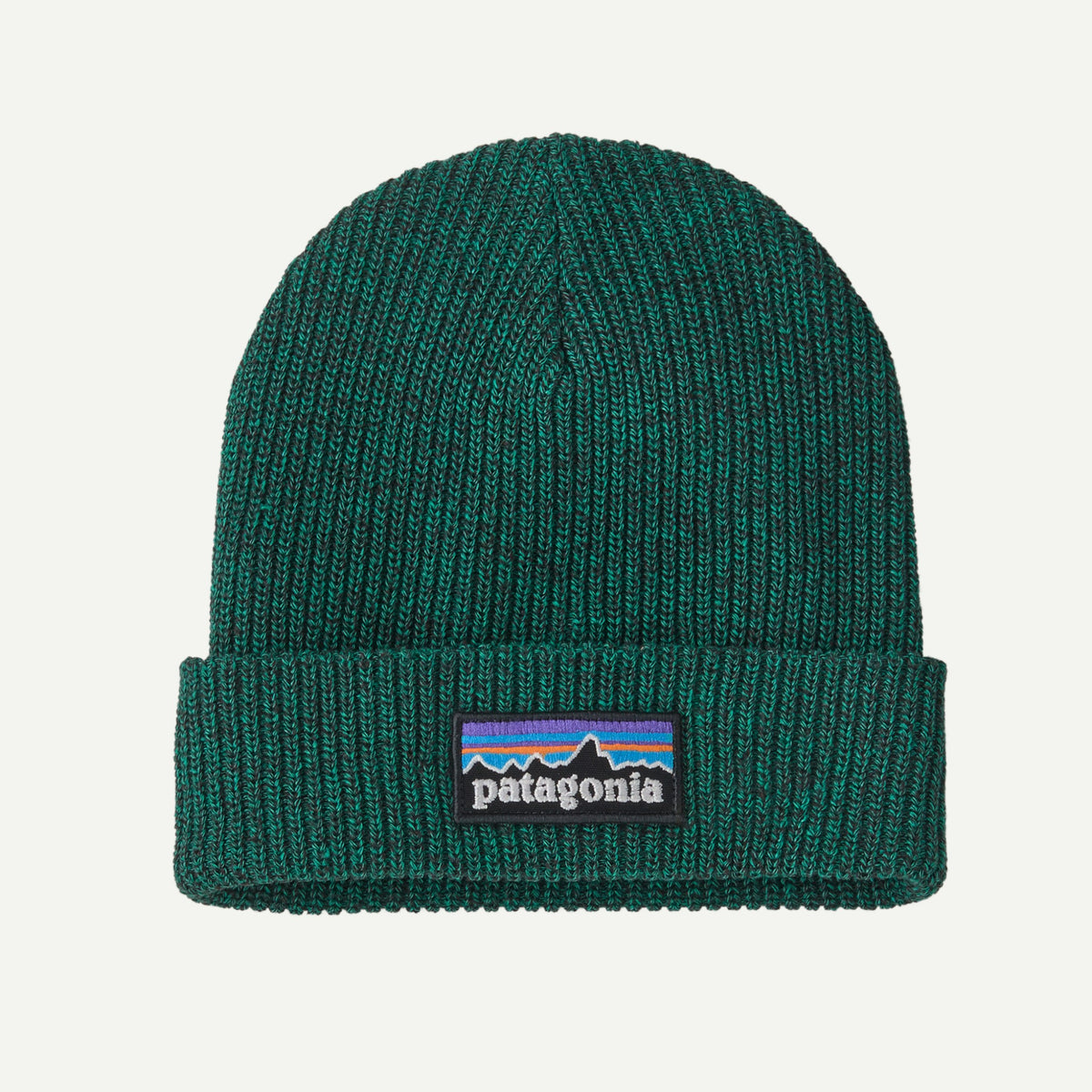 Patagonia Kids Logo Beanie F26