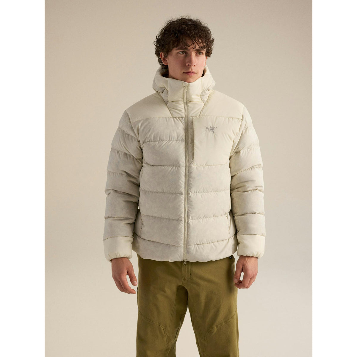 Arcteryx Mens Thorium Hoody F26