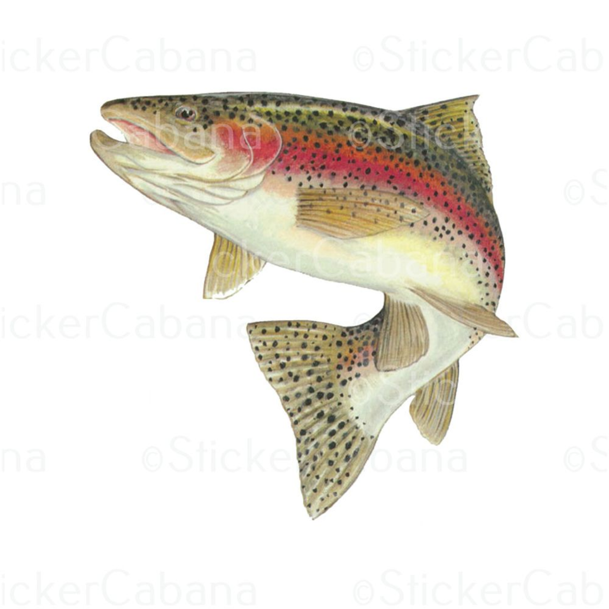 Liberty Mountain Rainbow Trout Fish Small Sticker