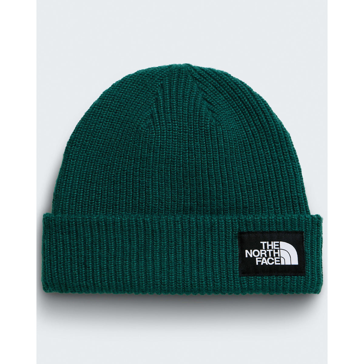 The North Face Salty Lined Beanie F25 - N4J_Pacific Teal