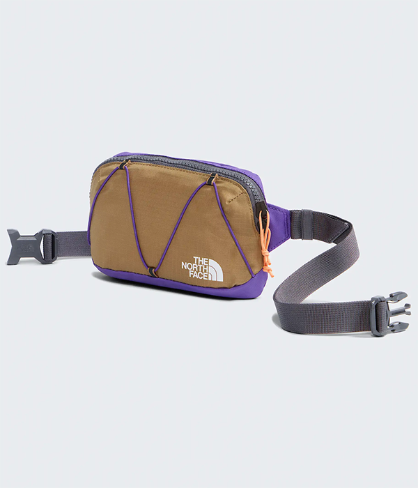 Terra Lumbar—1L