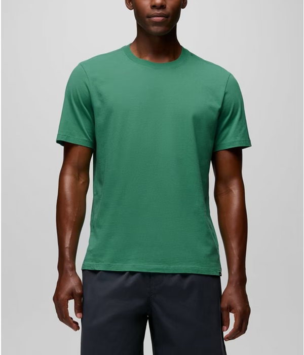 Mens Everyday SS Tee