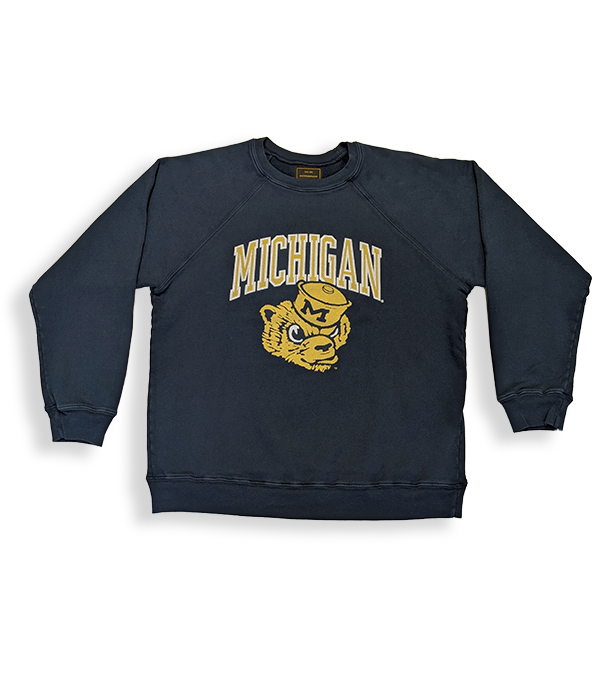 Unisex Michigan Wolverines Crewneck Sweatshirt B