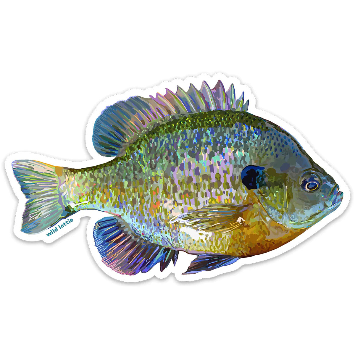 Bluegill Sticker
