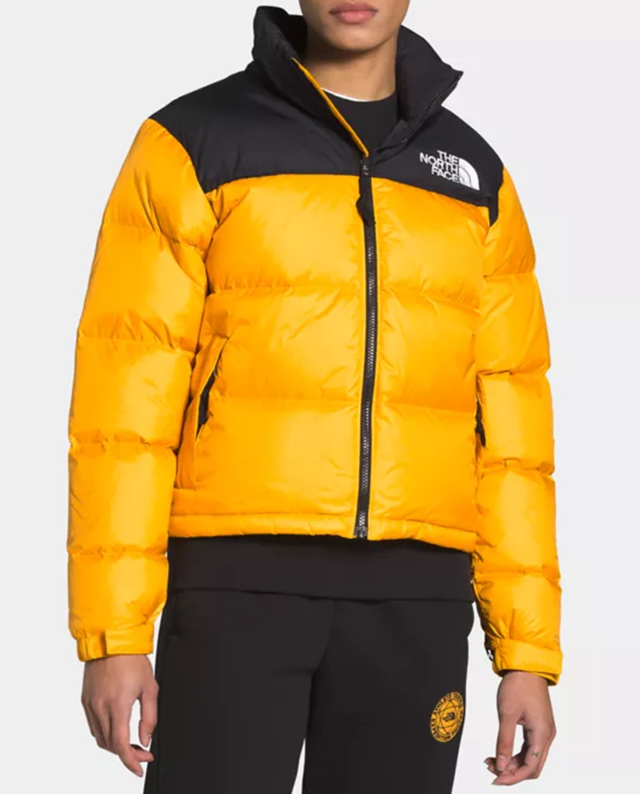 Womens 1996 Retro Nuptse Jacket