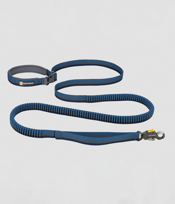 Roamer Lock Leash