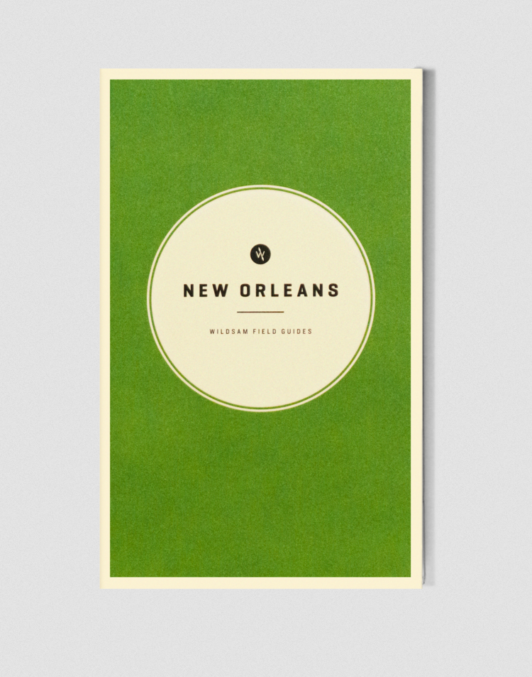 New Orleans Field Guide