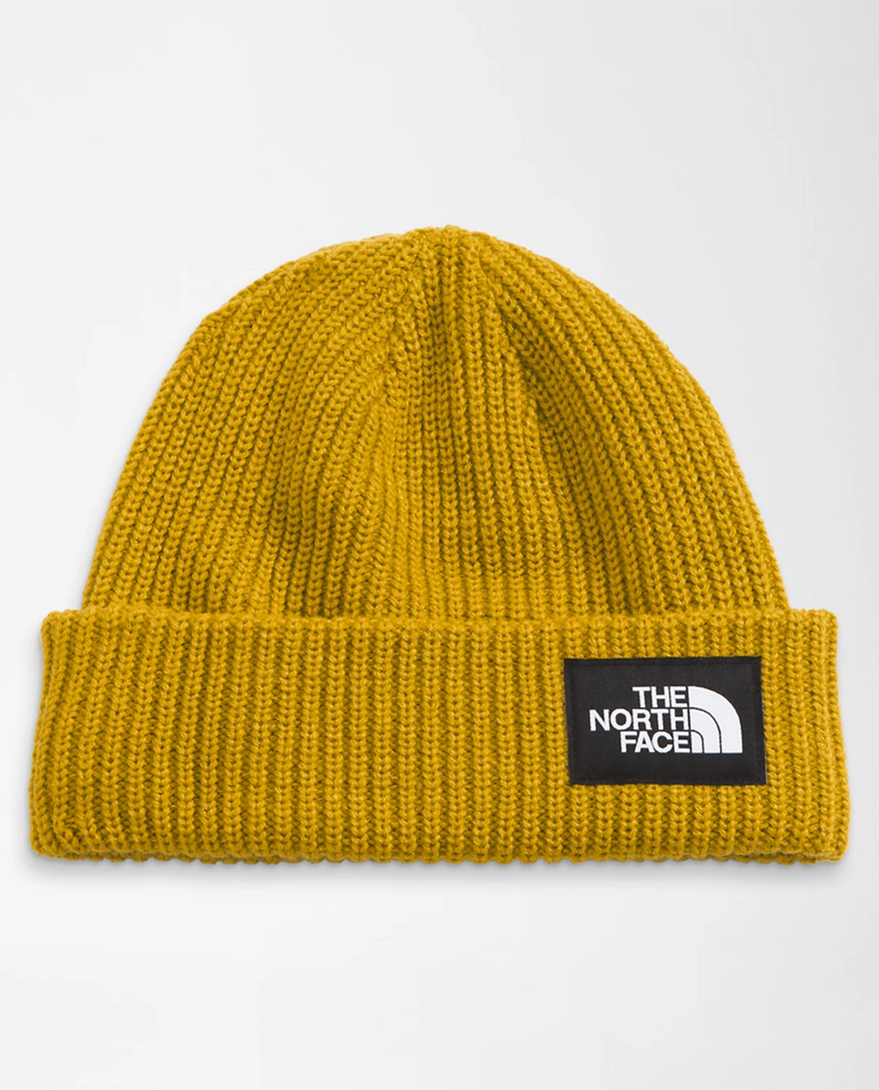Salty Lined Beanie F24