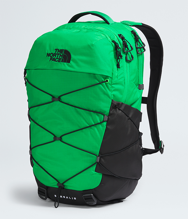 Borealis S25