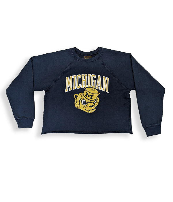 Womens Michigan Wolverines Crop Sweatshirt B