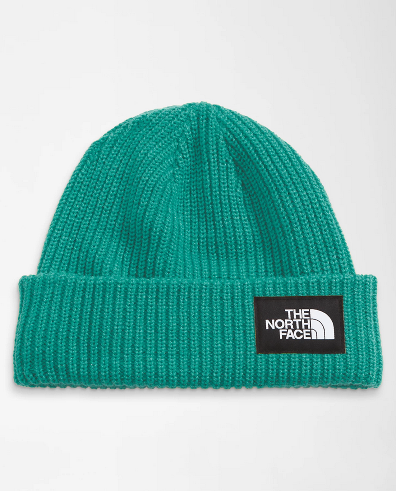 Salty Lined Beanie F24