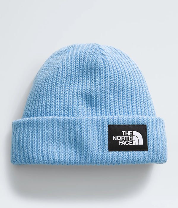 Salty Lined Beanie F24