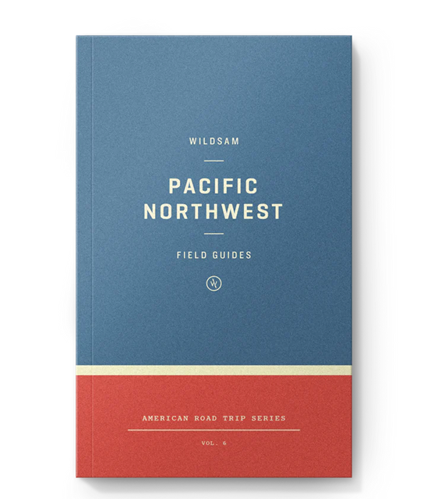 Pacific Northwest Road Trip Guide