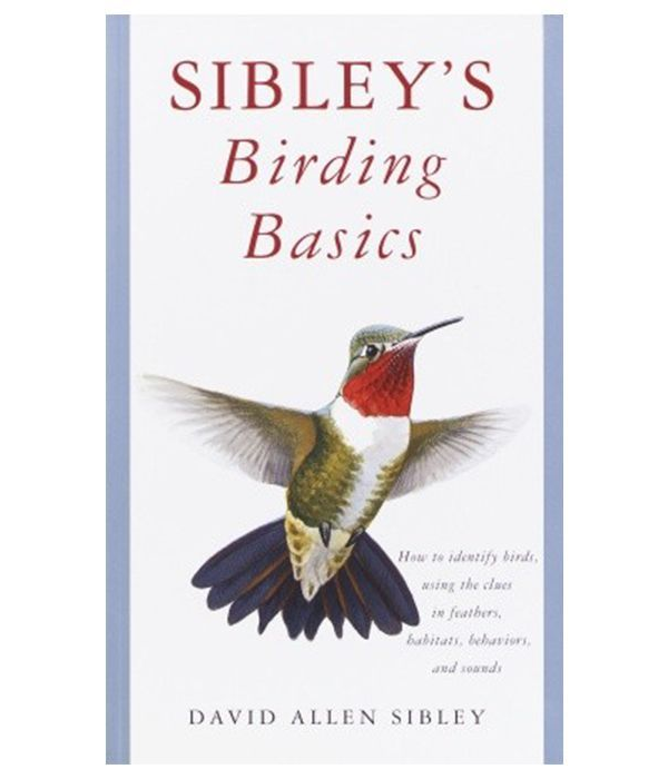 Sibleys Birding Basics