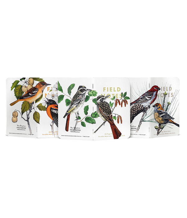 Birds & Trees of N. America Pack B - Pine Grosbeak, Baltimore Oriole, Sulphurbelly Flycatcher