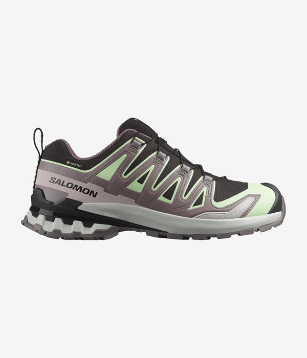 Women Shoes XA PRO 3D V9 GTX W in Black/Pating/Gr