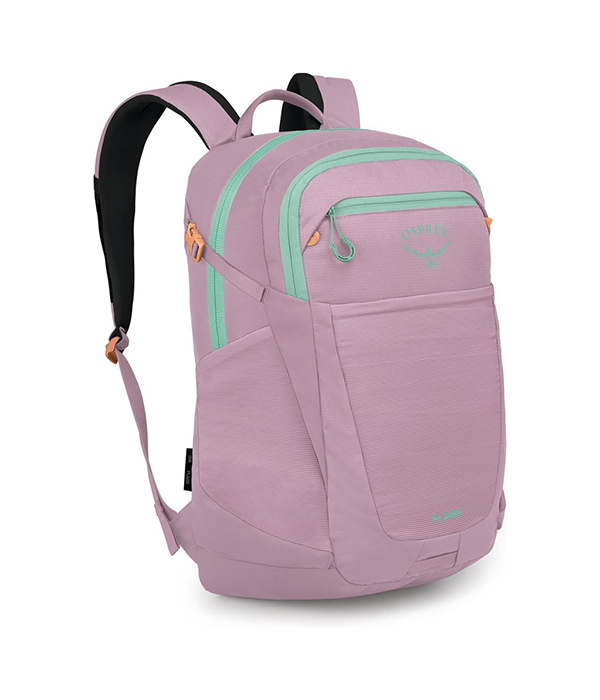 Flare in Iris Pink