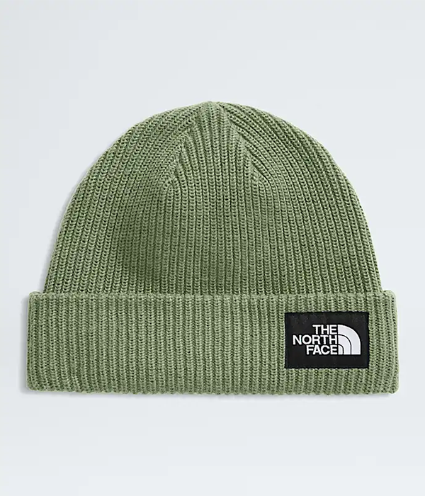 Salty Lined Beanie F25