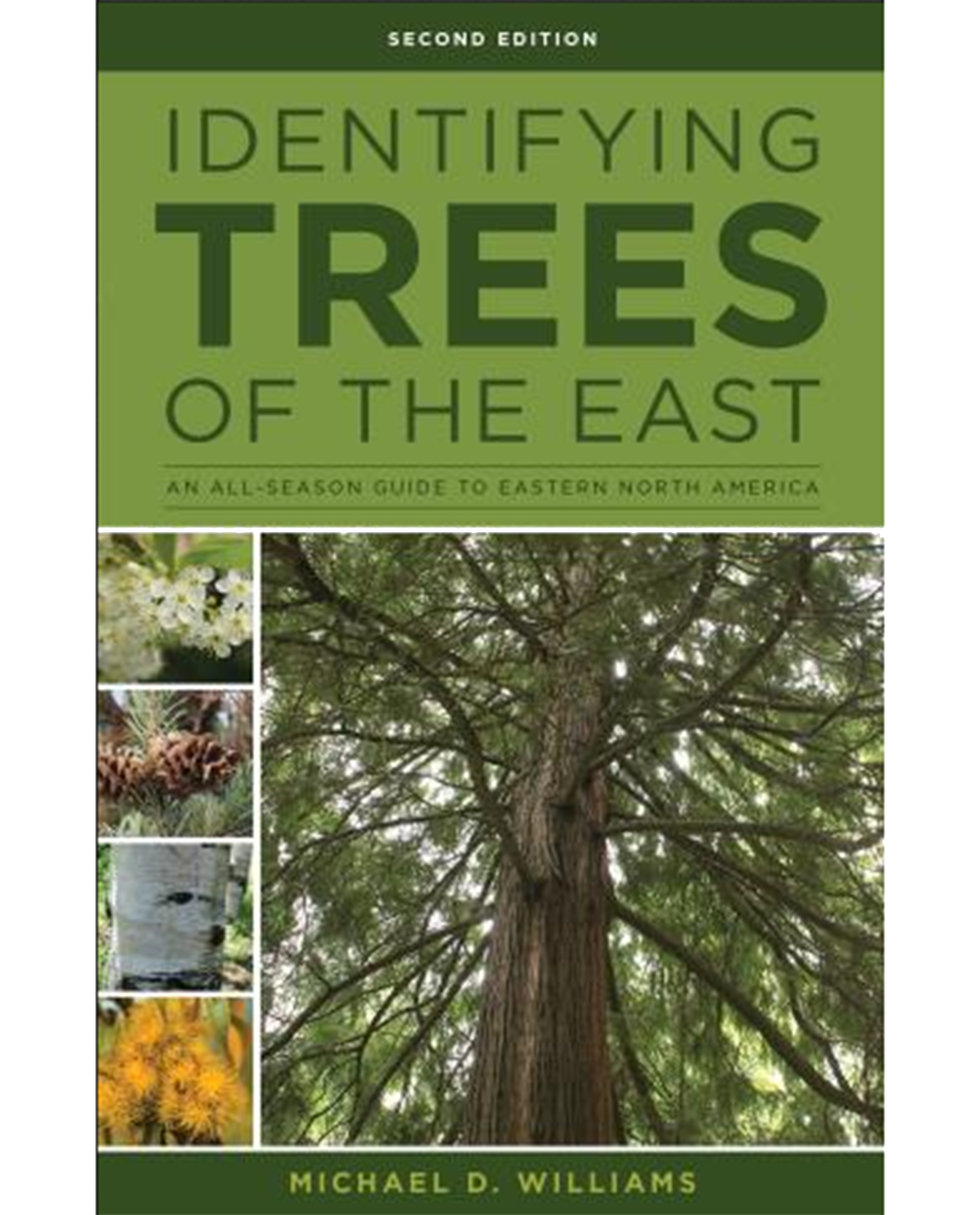 Identifying Trees of The East