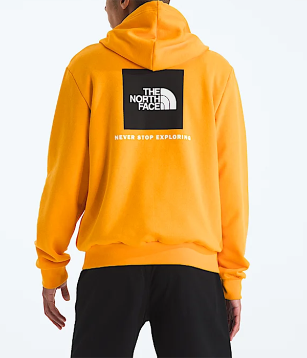 Mens Evolution Box NSE Hoodie