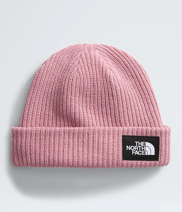 Salty Lined Beanie F24