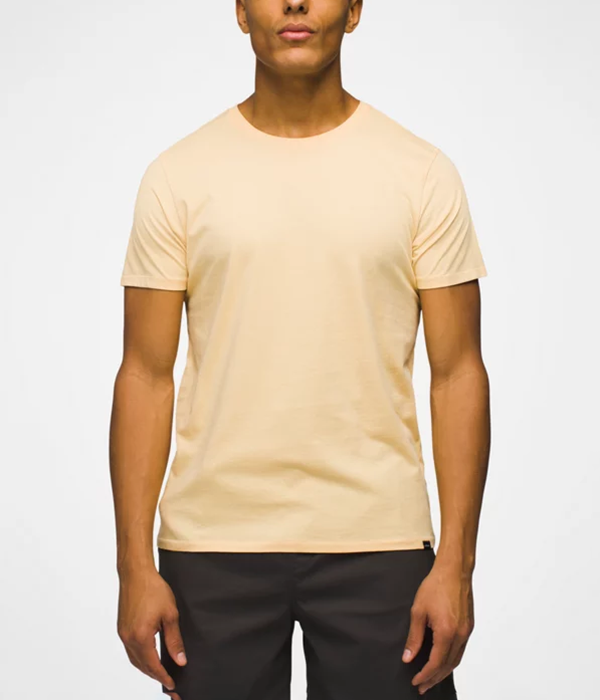 Mens Everyday SS Tee