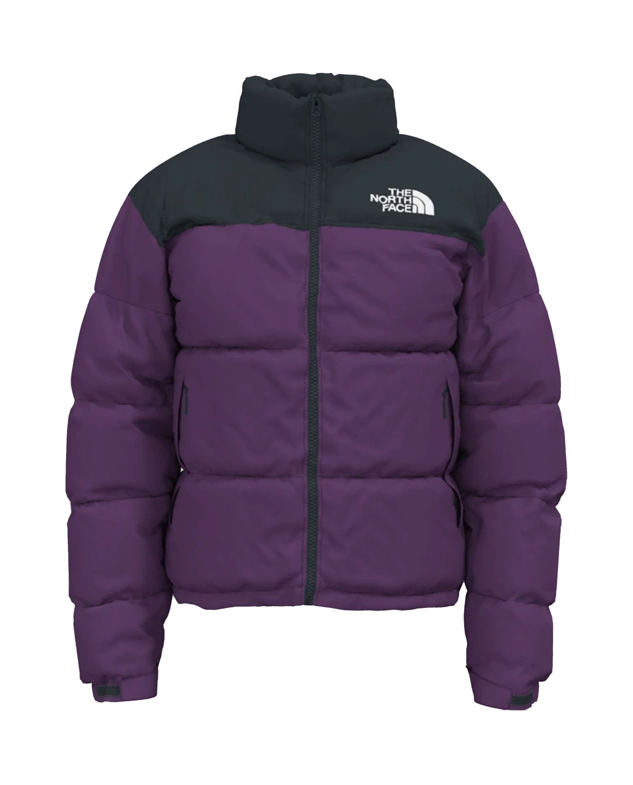 Mens 1996 Retro Nuptse Jacket