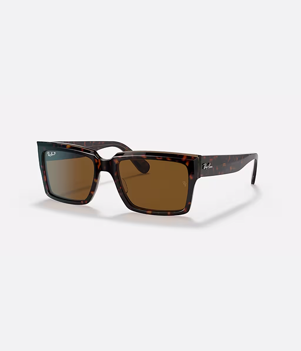 Iverness Sunglasses in Havana On Transparent Brown