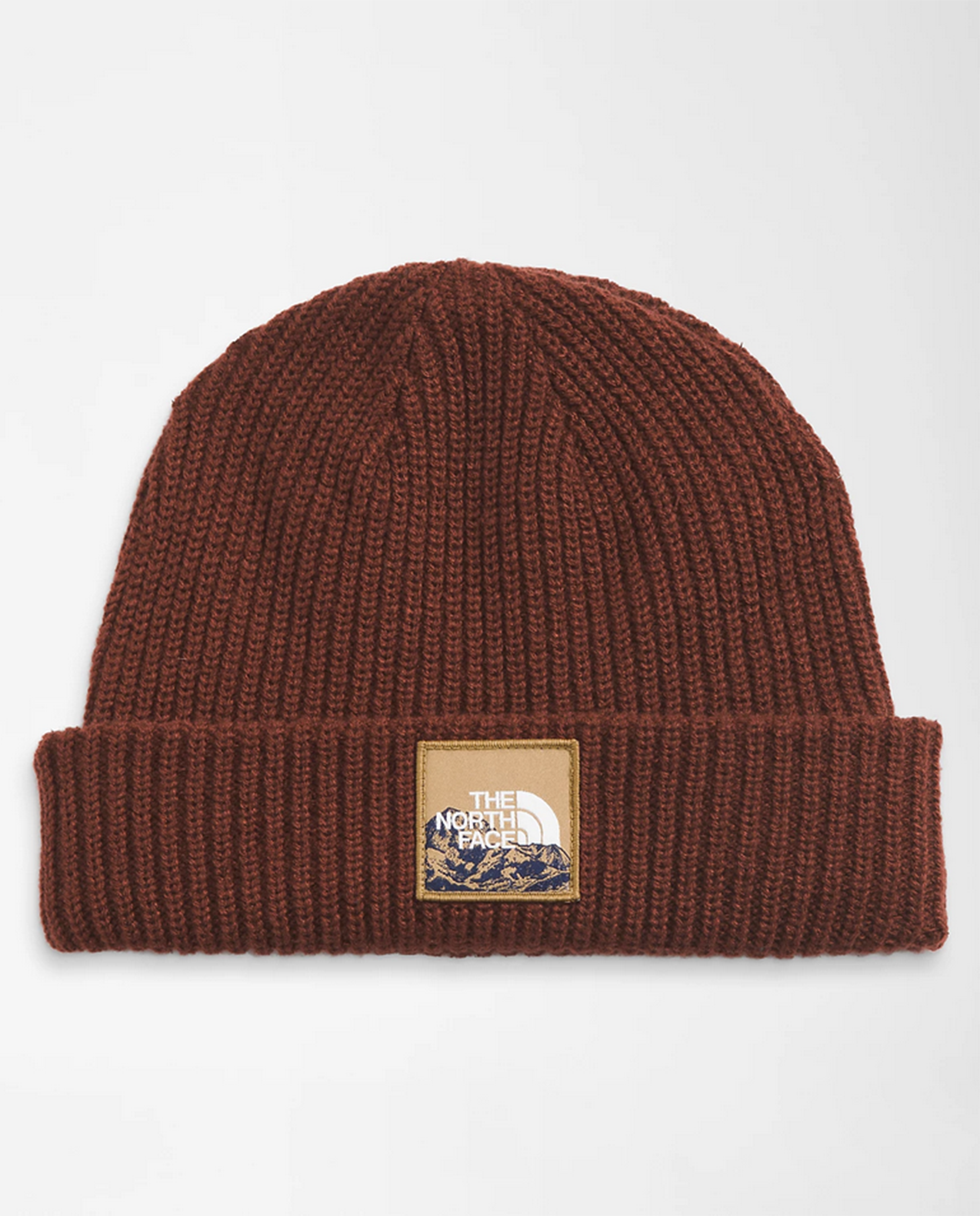 Salty Lined Beanie F24