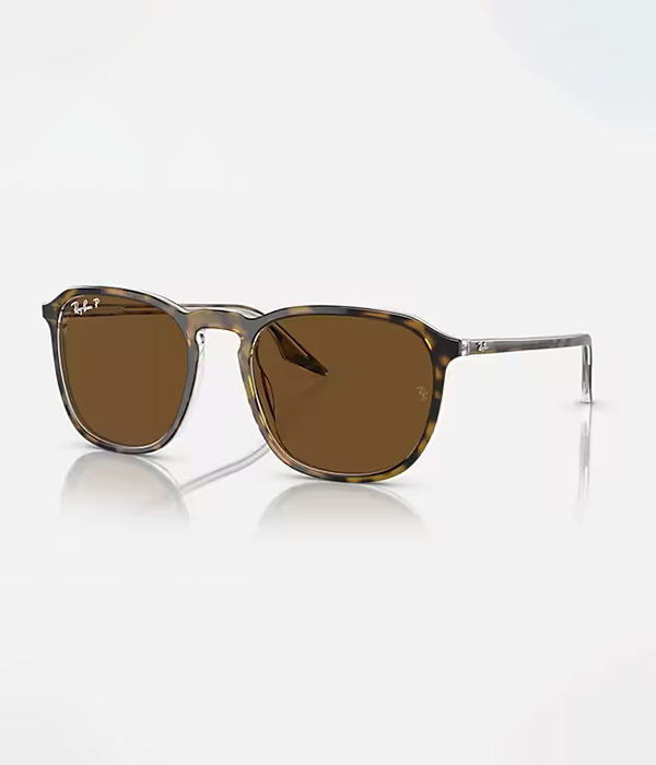 RB2203 Sunglasses in Brown with Brown Lens