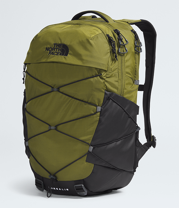 Borealis S25