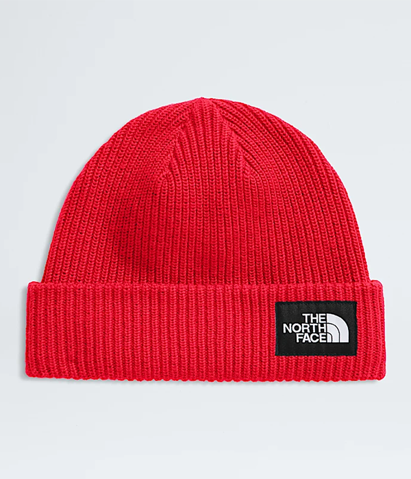 Salty Lined Beanie F25