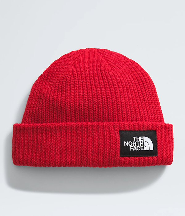 Salty Lined Beanie F24