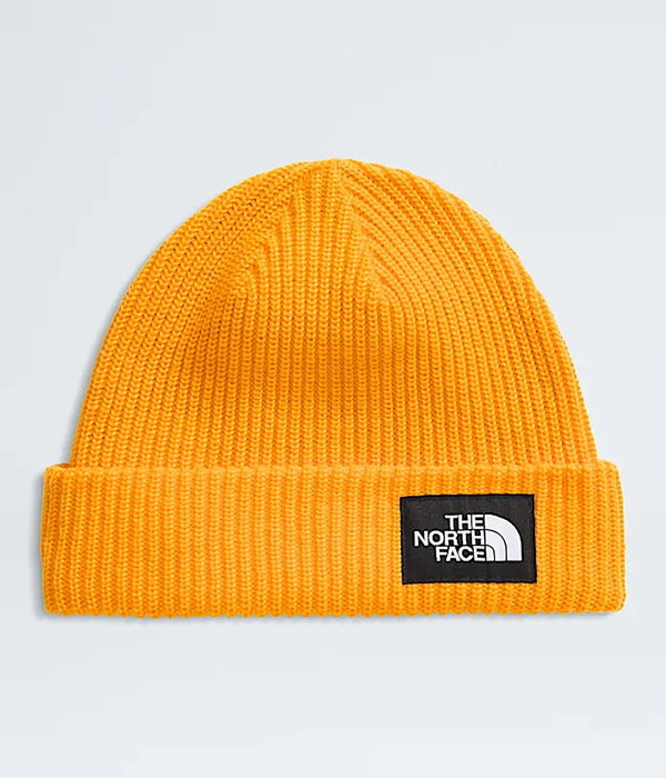 Salty Lined Beanie F25