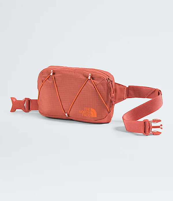 Terra Lumbar—1L