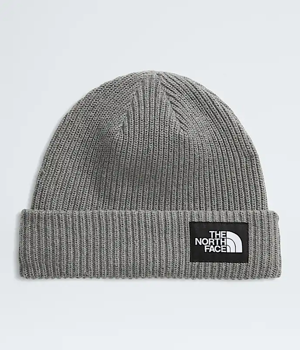 Salty Lined Beanie F25