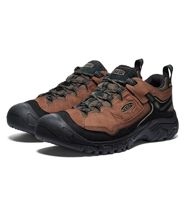 Mens Targhee IV WP in Bison/Black