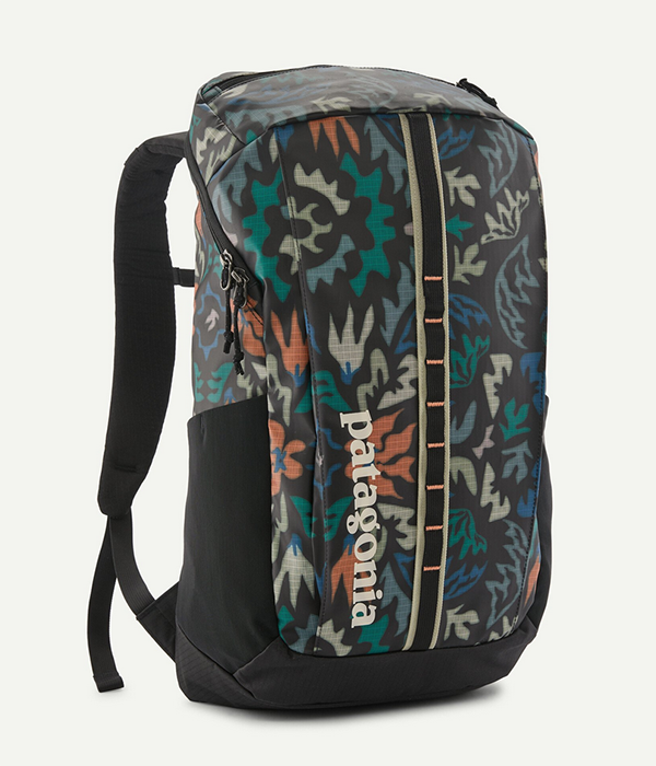 Patagonia Black Hole Pack 25L