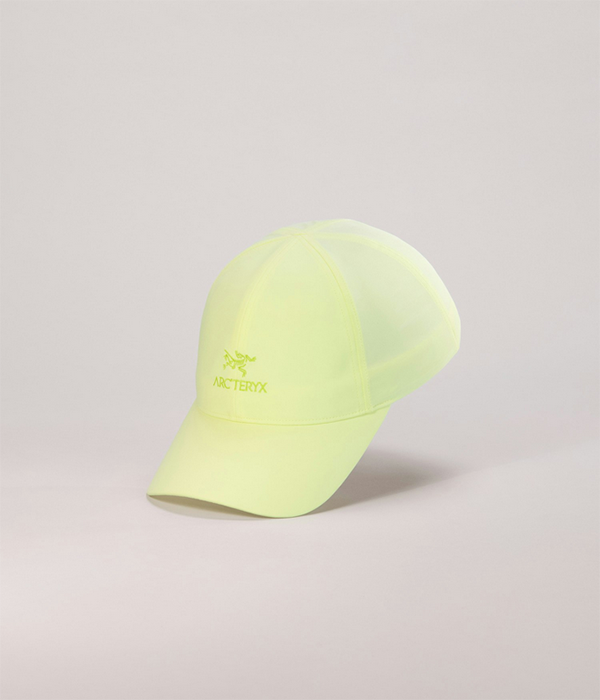 Bird Word Cap F26