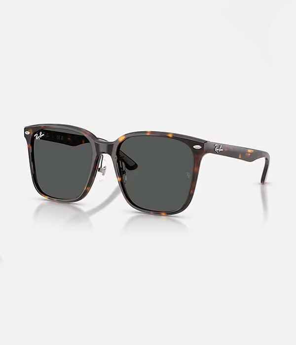 RB2206D-710/87 Acetate Unisex Sunglass
