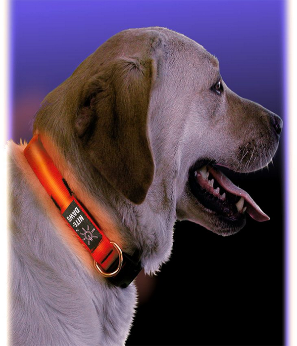 NITE IZE Nite Dawg LED Light-Up Collar