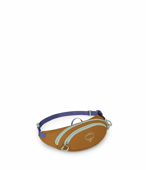 Daylite Mini Waist Pack in Barley Brown Multi