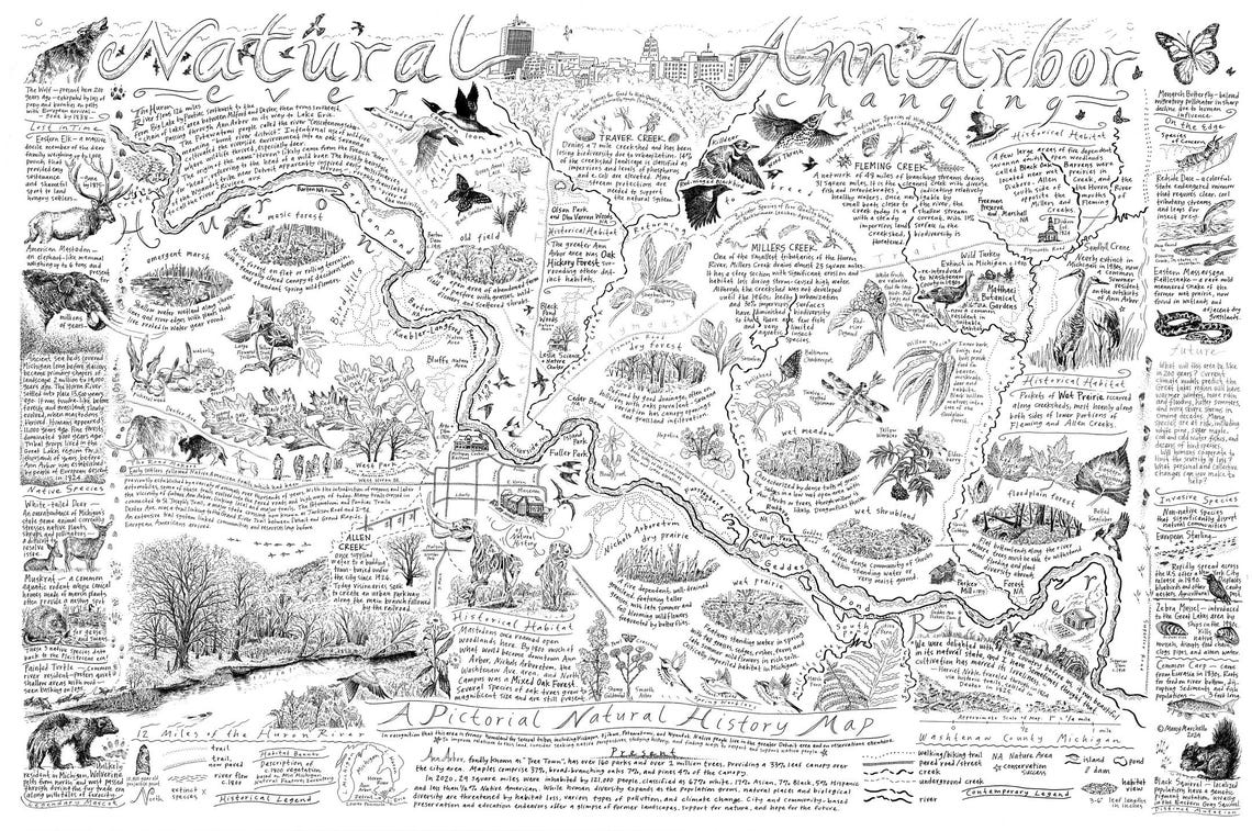 Natural Ann Arbor Map - B&W