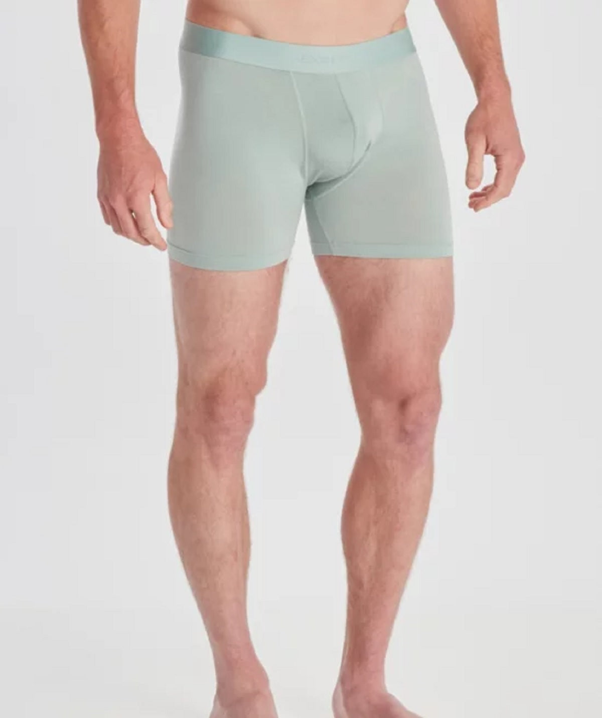 Mens Everyday Boxer Brief